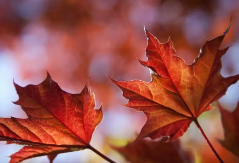 1692803899484126.png image.png