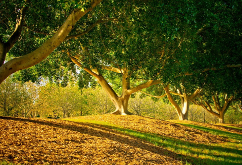 1692805890283328.png image.png