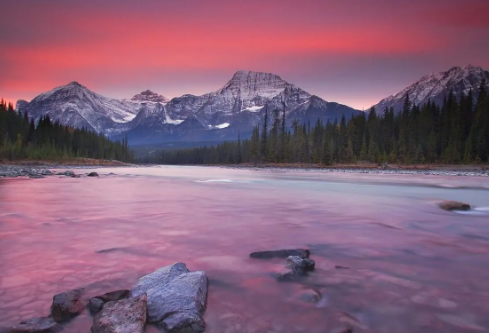 1692806056740734.png image.png