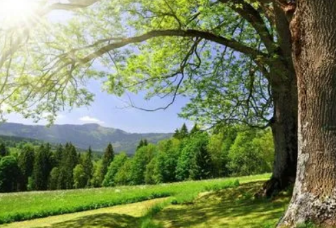 1692808878293107.png image.png