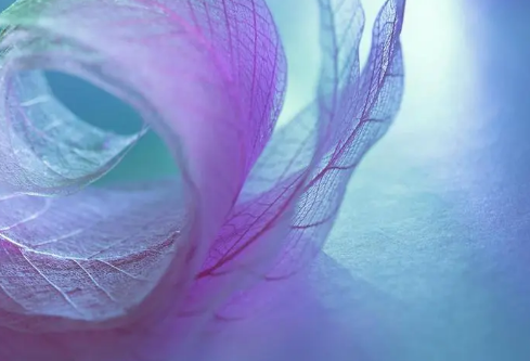 1692815681901114.png image.png