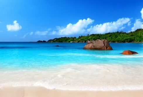 1692820988603614.png image.png