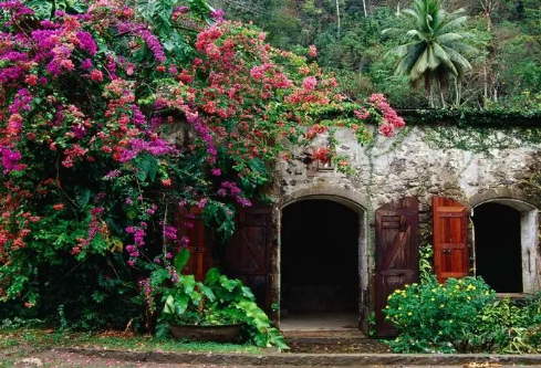 1692821818297424.png image.png