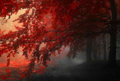 ​女装店铺名字简约大方210个