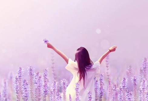 1692838245188900.png image.png