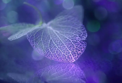 1692841232291381.png image.png