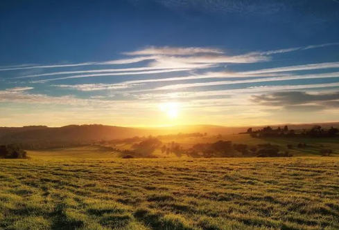 1692843238390820.png image.png