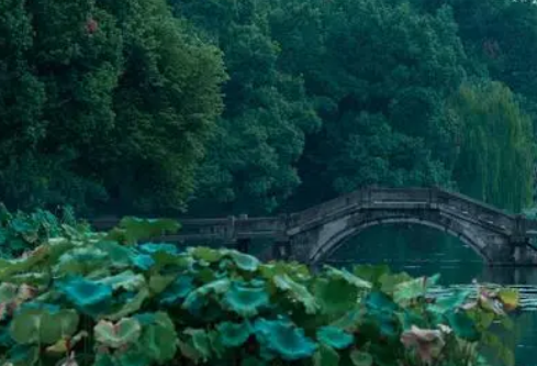 1692844566964412.png image.png