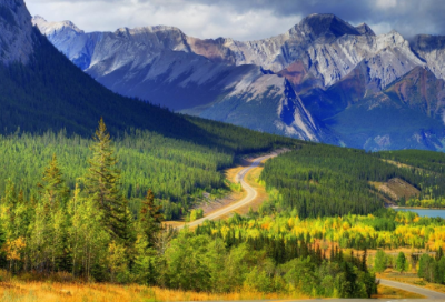 ​免费宝宝起名免费的男女宝宝名字大全