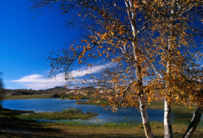 ​吉祥的宝宝起名常用字宝宝名字大全