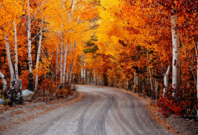 ​寓意好的女宝宝名字大全，寓意好的男宝宝名字大全