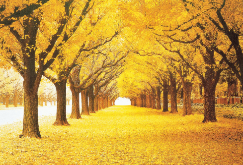 1693266934465122.png image.png