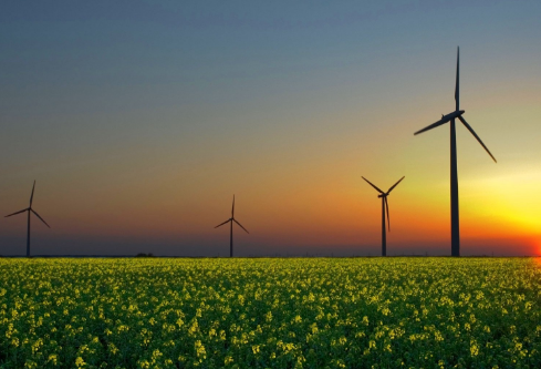 1693268594914173.png image.png