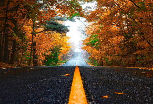 1693270419569604.png image.png