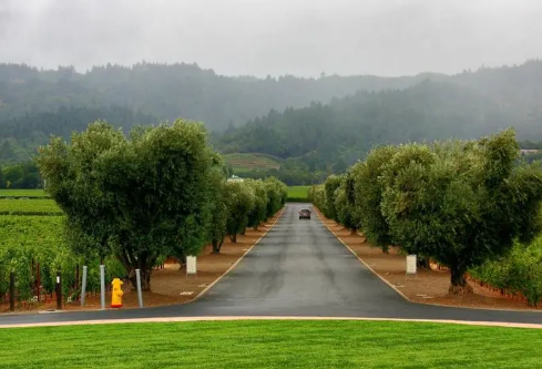 1693271415807030.png image.png