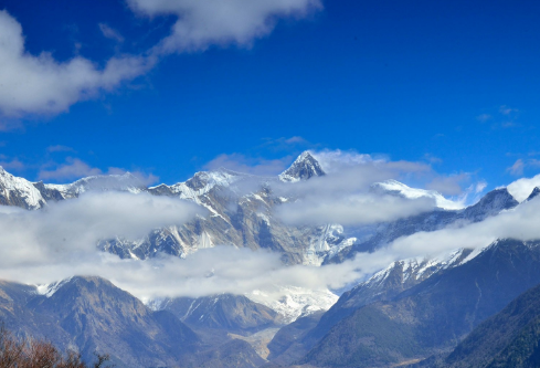 1693275232641990.png image.png