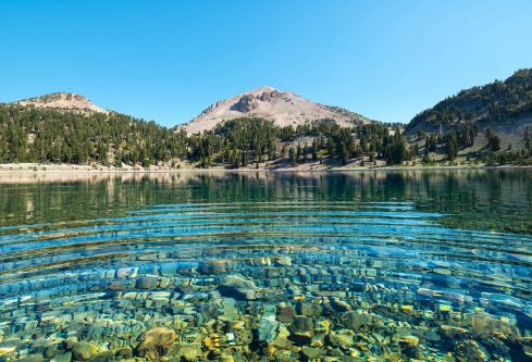 1693276227689727.png image.png