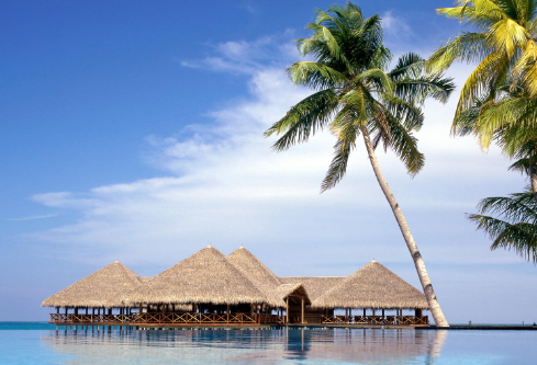 1693276393950315.png image.png