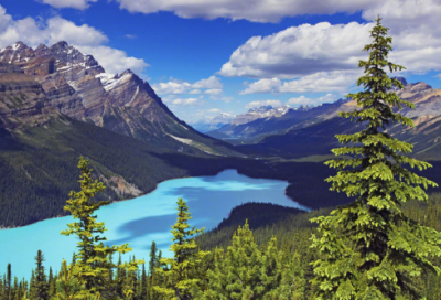 ​宝宝起小名洋气的宝宝小名大全