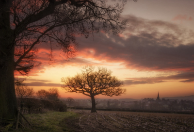 ​公司起名大全好听的公司名字 有意思的公司名称