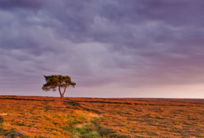 ​化妆品店起名名字大全集 吸引女生的化妆品店名推荐