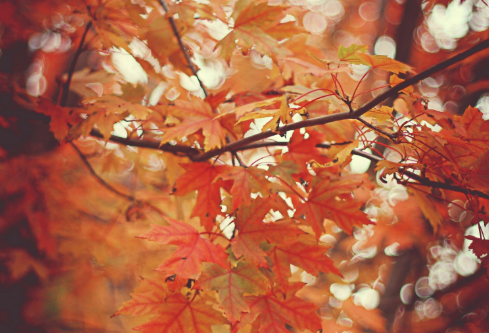 1693552041378540.png image.png