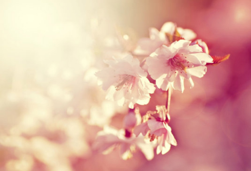 1693556192943758.png image.png