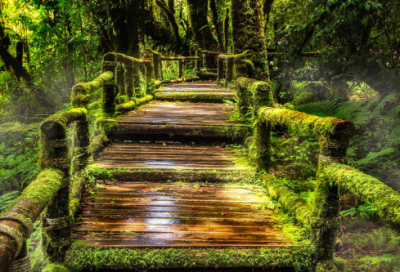 ​美容院店铺名字美丽288个