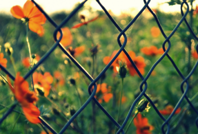 ​卤菜店起名字大全免费296个