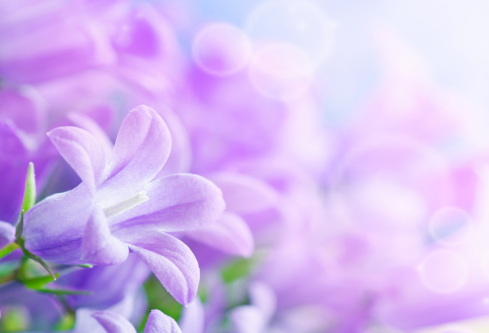 1693569971430002.png image.png