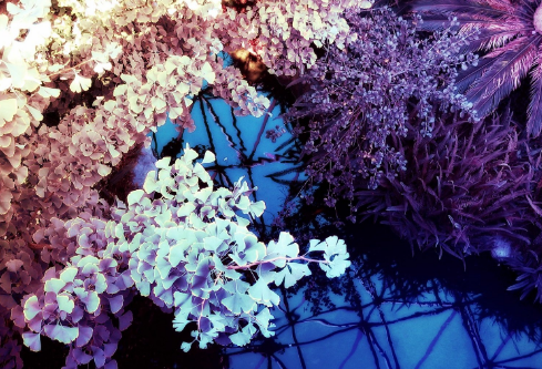 1693572461343553.png image.png