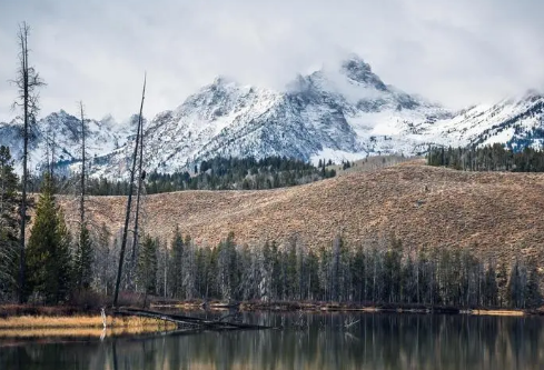 1693576113763945.png image.png