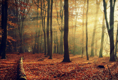 1693583916140293.png image.png