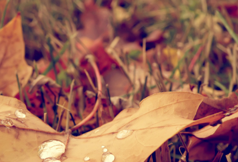 1693584912753432.png image.png