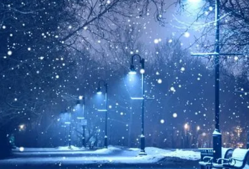 1693588398297466.png image.png