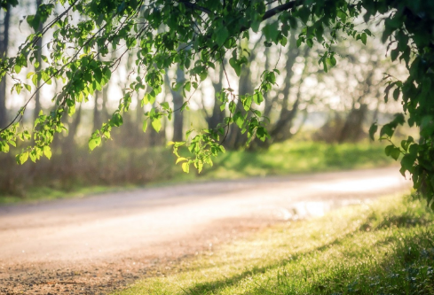 1693593544604743.png image.png