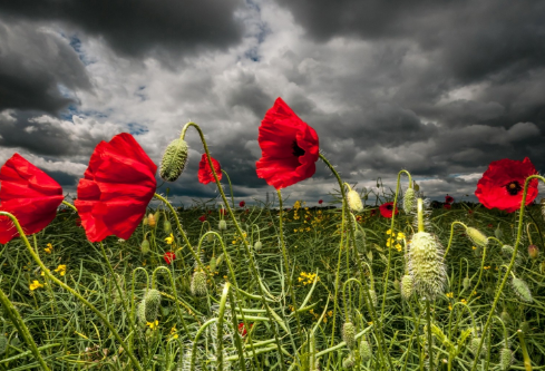 1693599518141035.png image.png