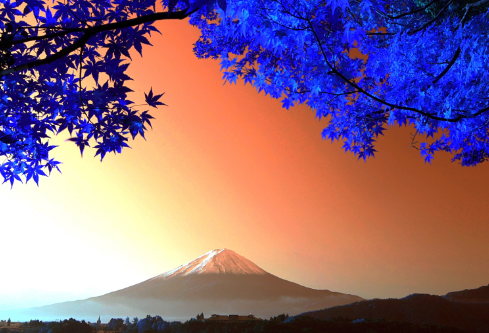 1693599851229315.png image.png