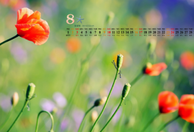 ​医药公司取名字参考大全 医疗公司起名大全免费