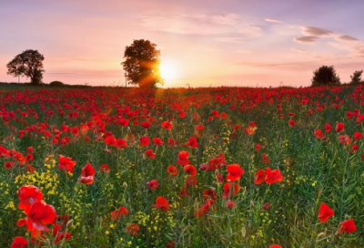 ​比较潮有个性的店名大全 店铺取名字大全免费查询