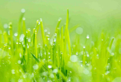 ​体育公司起名大全集，好听洋气的体育公司名字