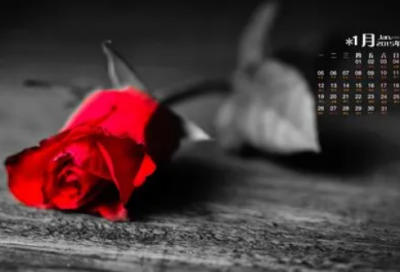 ​1986年属虎开店起名字 属虎做生意起啥店名大全