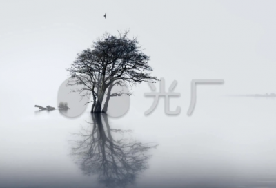 ​比较新颖的店铺名字，有创意的网店名字