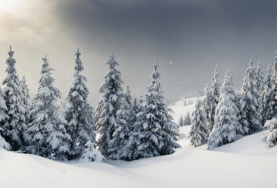 ​旺生意的店铺名字参考158个