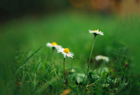 1693607325619549.png image.png