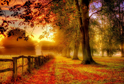 ​零食店铺取名字大全246个