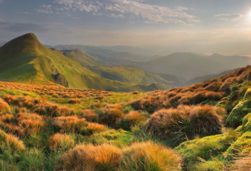 1694878668962439.png image.png