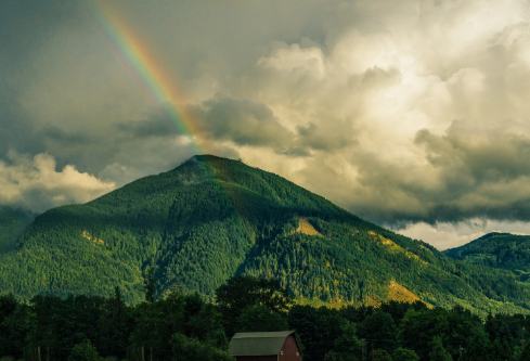 1694879665783724.png image.png