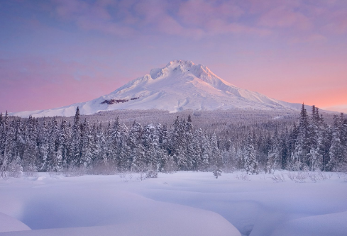 1694882986653112.png image.png