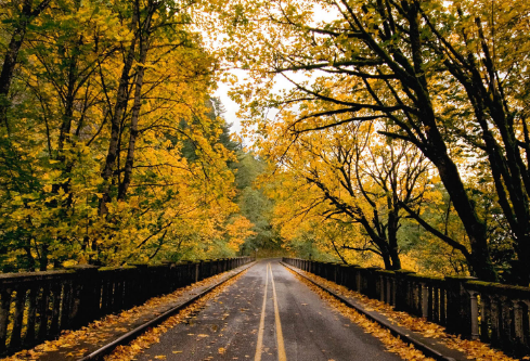 1694883152227217.png image.png